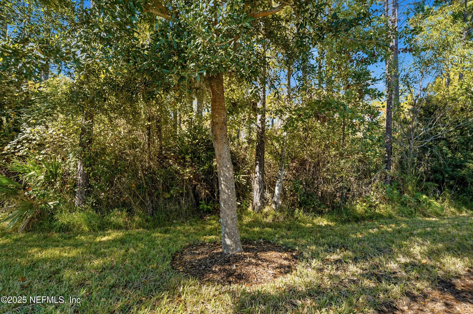 53 Broadhaven Drive Ponte Vedra FL 32081