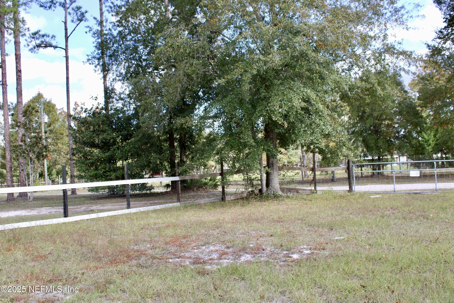 3990 Appaloosa Road Middleburg FL 32068