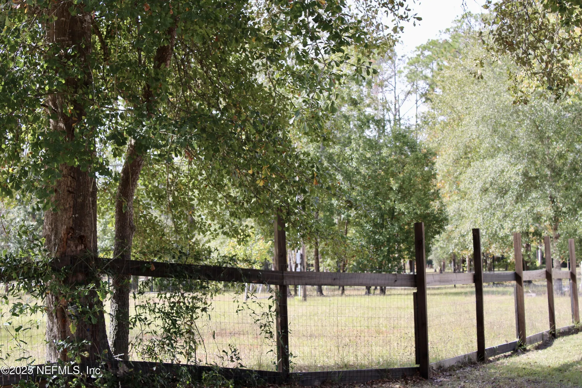 3990 Appaloosa Road Middleburg FL 32068