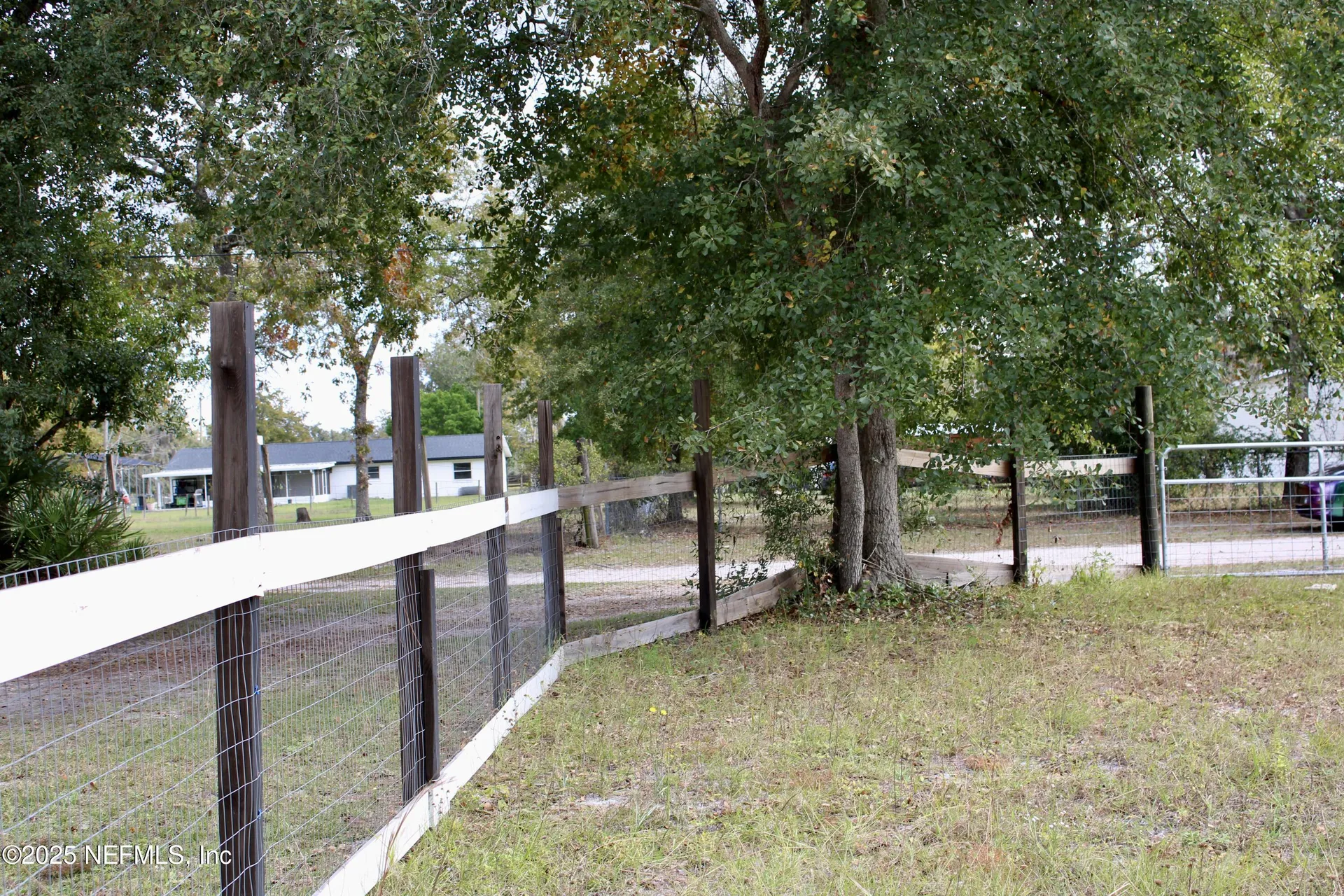 3990 Appaloosa Road Middleburg FL 32068
