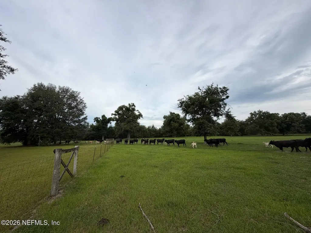 5377 SW 40th Avenue Jasper FL 32052