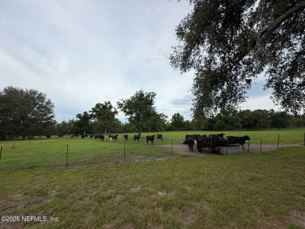 5377 SW 40th Avenue Jasper FL 32052