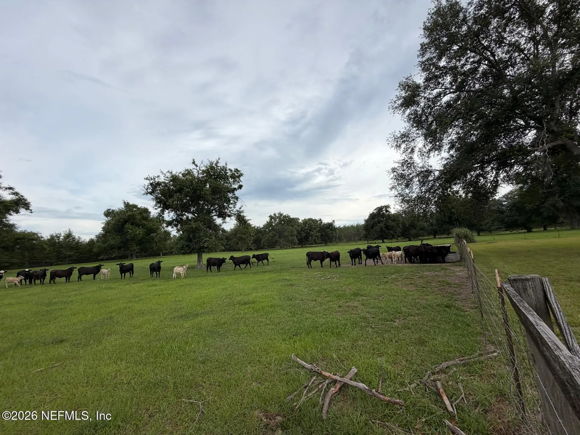 5377 SW 40th Avenue Jasper FL 32052