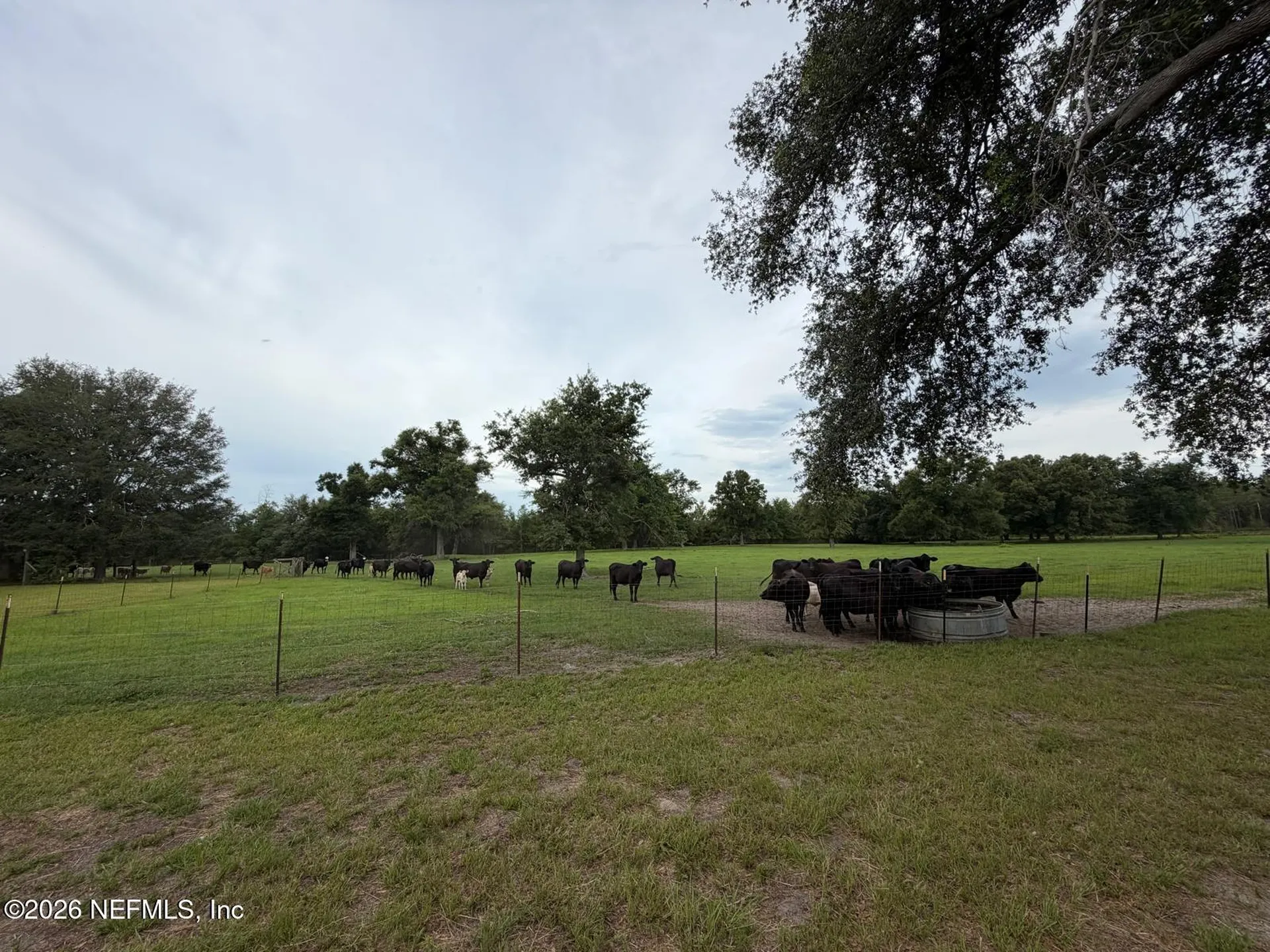 5377 SW 40th Avenue Jasper FL 32052