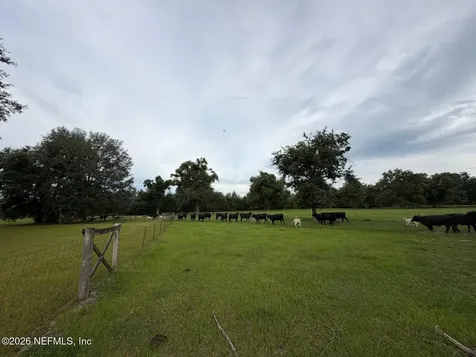 5377 SW 40th Avenue Jasper FL 32052