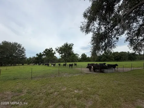 5377 SW 40th Avenue Jasper FL 32052