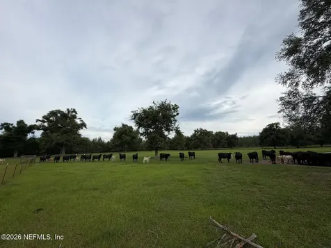 5377 SW 40th Avenue Jasper FL 32052