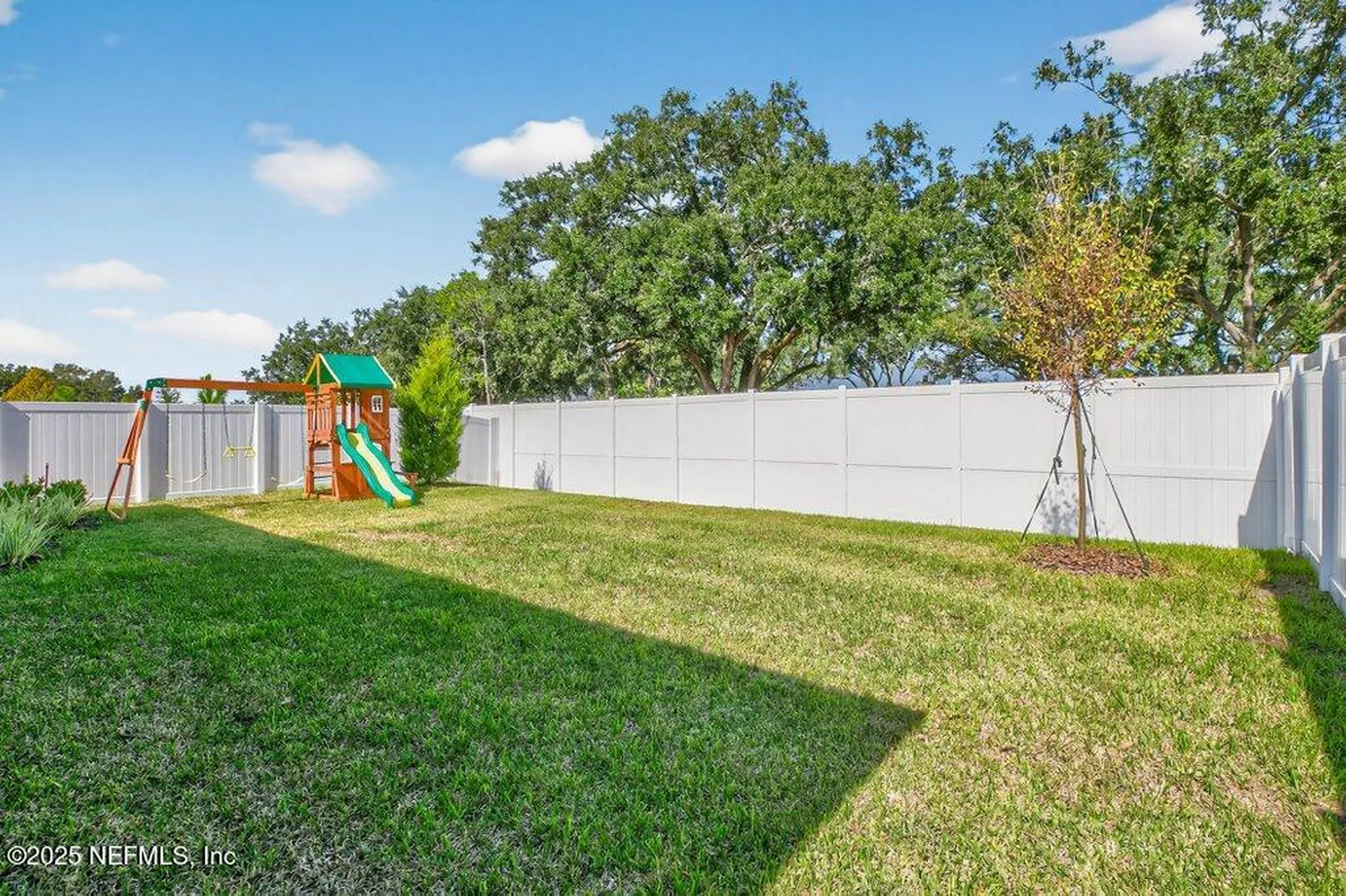 2639 Firebrush Lane Green Cove Springs FL 32043