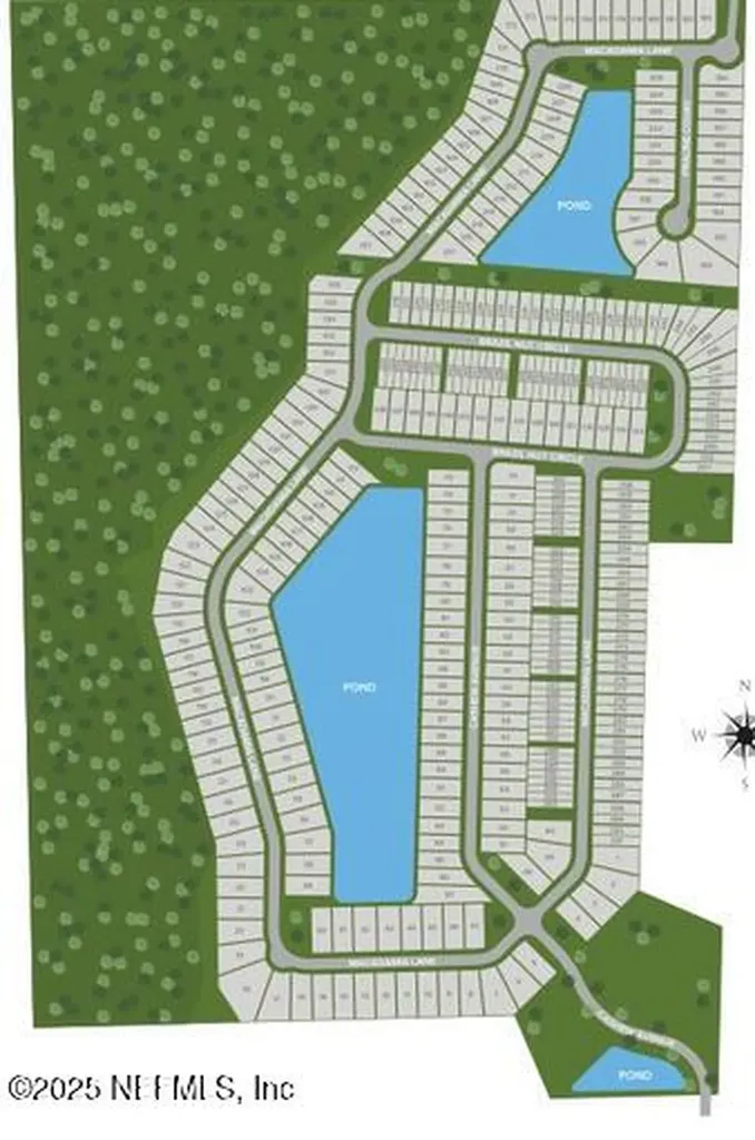 14876 Macadamia Lane Jacksonville FL 32218