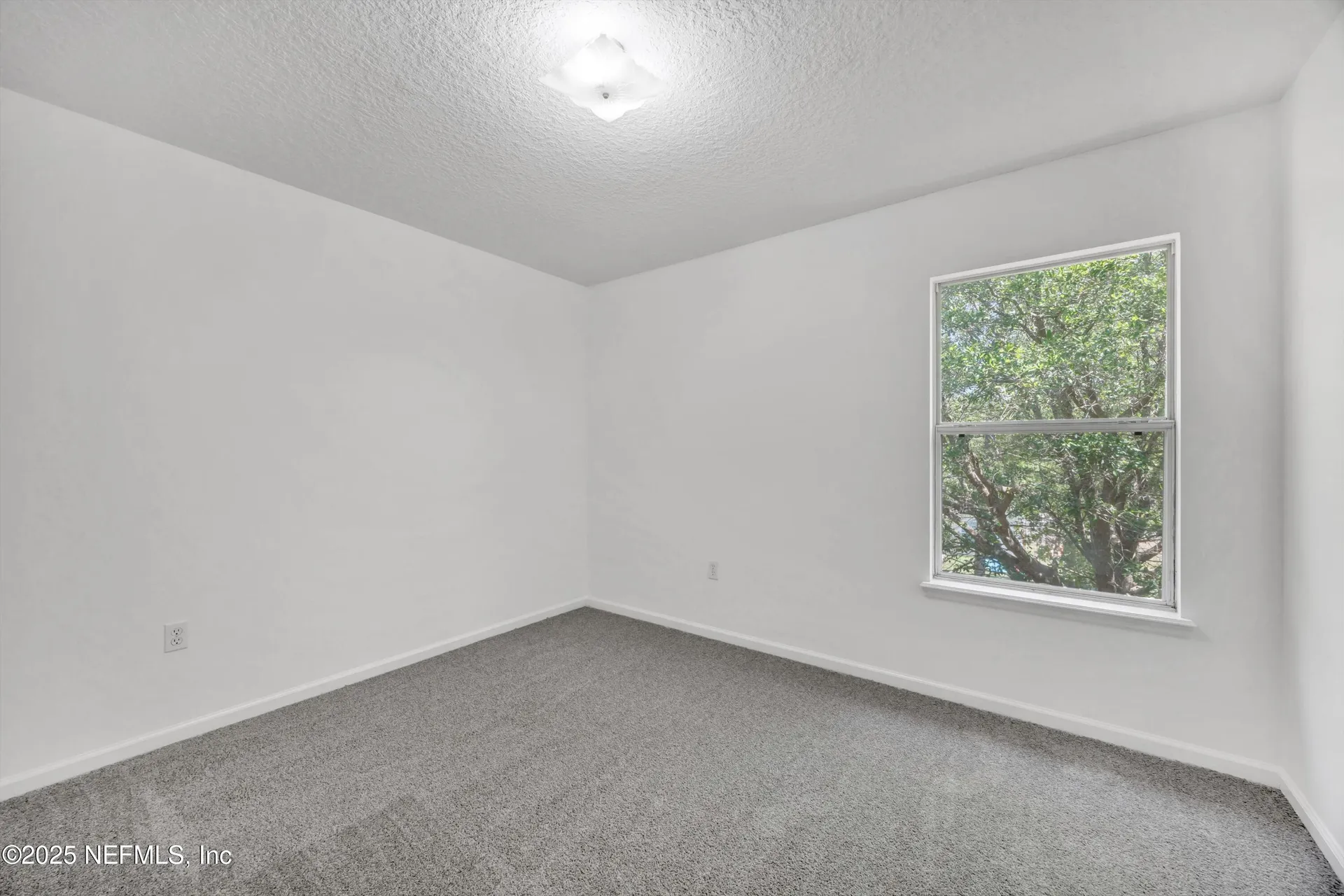 1829 Creekview Drive Green Cove Springs FL 32043