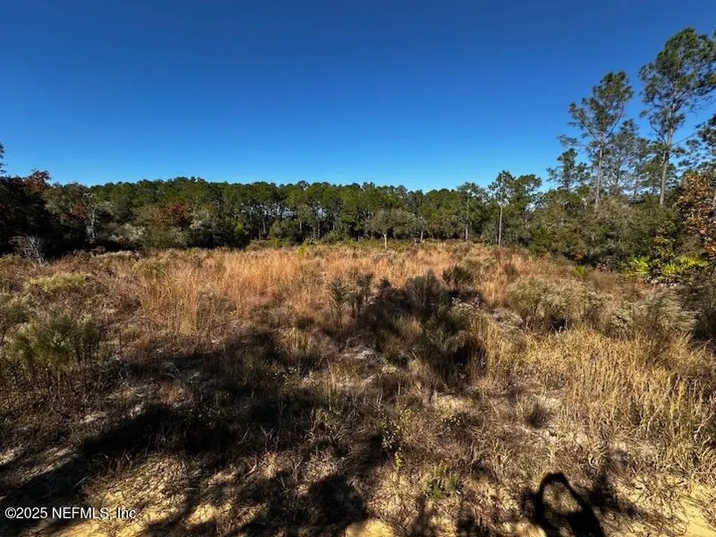 220 Como Circle Interlachen FL 32148