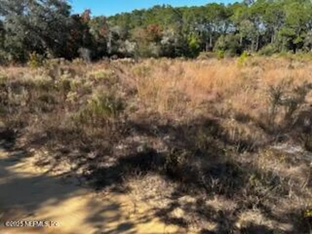 220 Como Circle Interlachen FL 32148