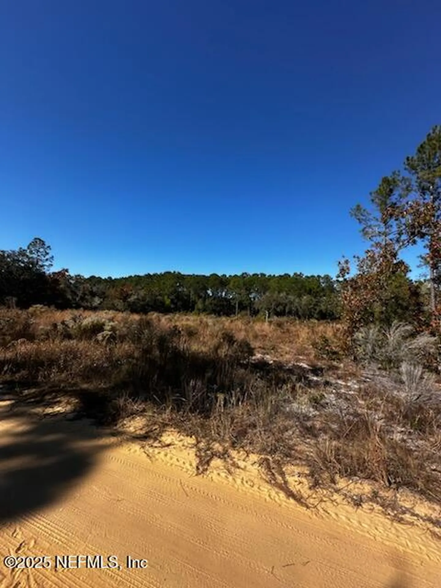 220 Como Circle Interlachen FL 32148