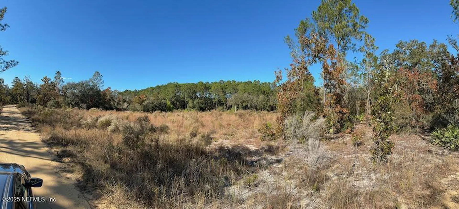 220 Como Circle Interlachen FL 32148
