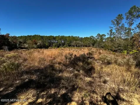 220 Como Circle Interlachen FL 32148