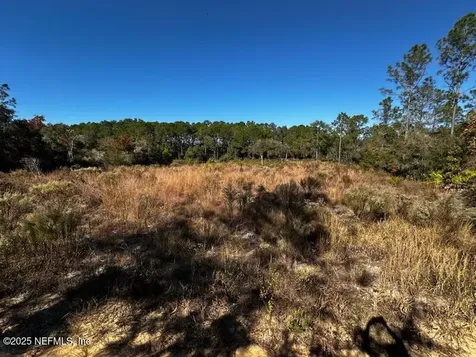 220 Como Circle Interlachen FL 32148