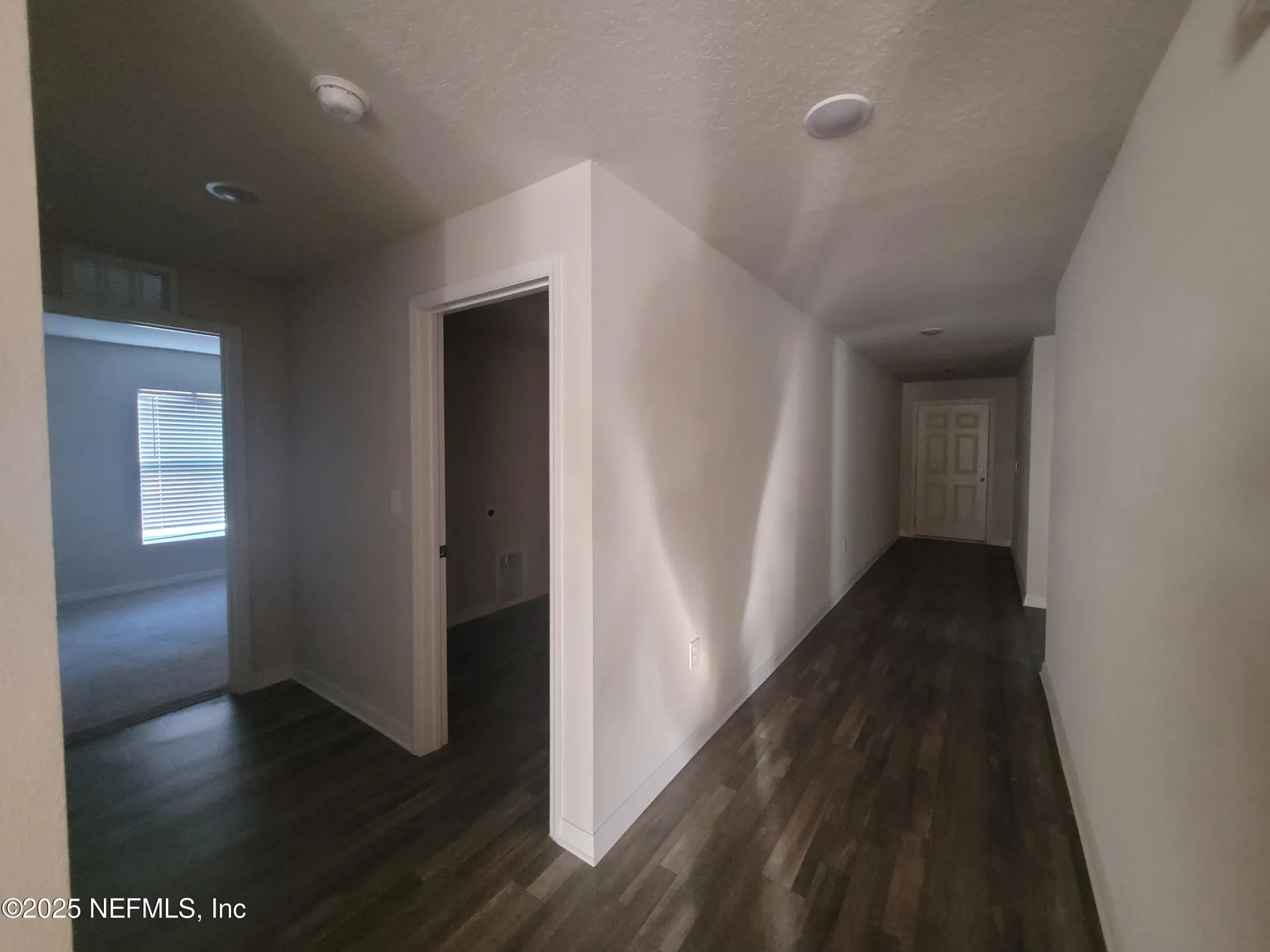 256 River Hill Drive Welaka FL 32193