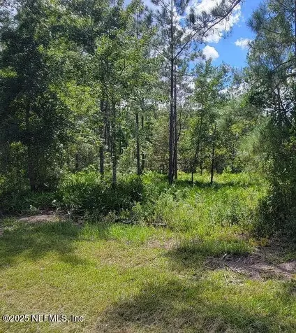 4329 Bondarenko Road Keystone Heights FL 32656