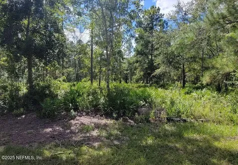 4329 Bondarenko Road Keystone Heights FL 32656