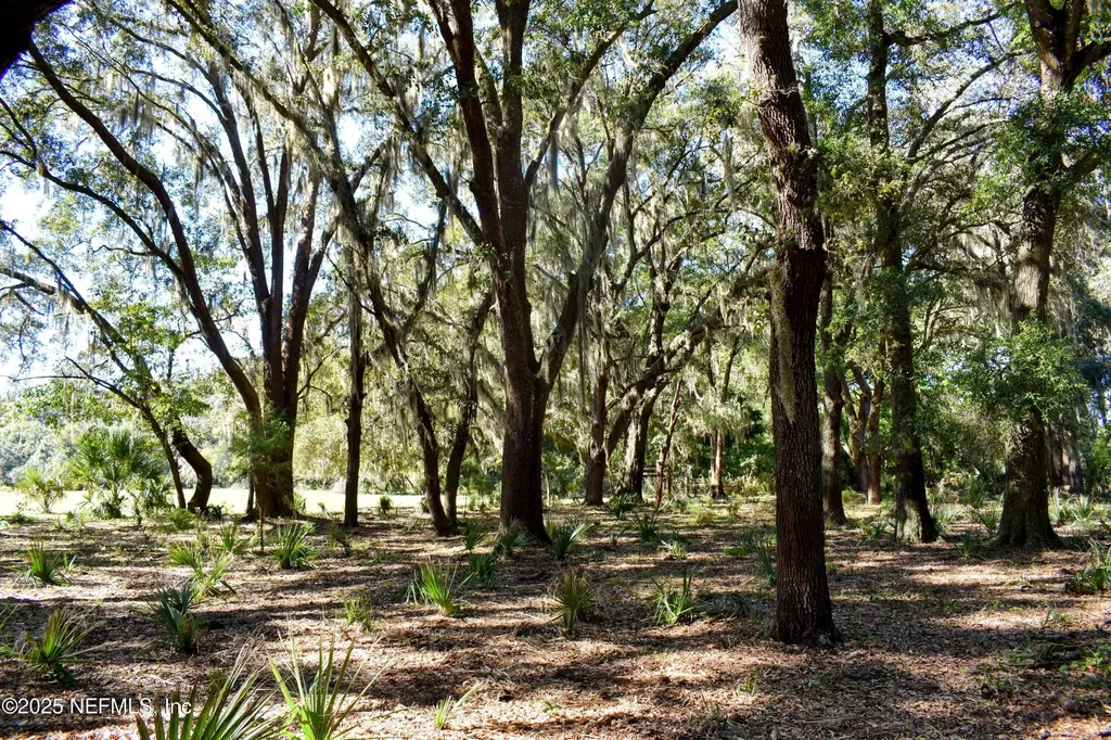 00 W Peniel Road Palatka FL 32177