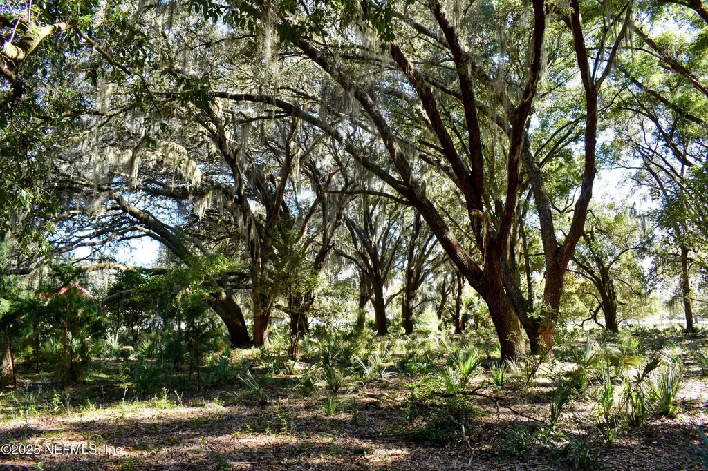 00 W Peniel Road Palatka FL 32177