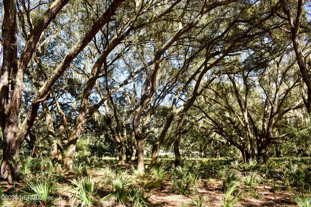 00 W Peniel Road Palatka FL 32177