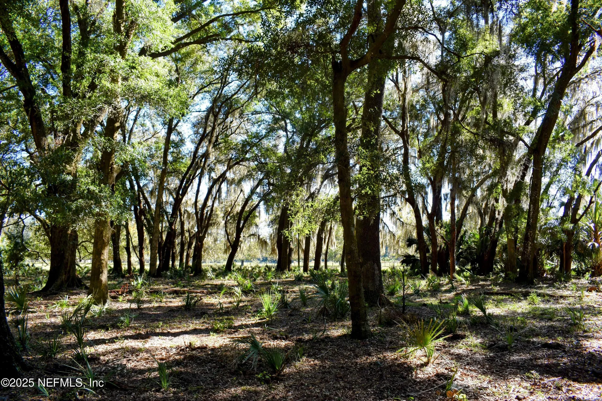 00 W Peniel Road Palatka FL 32177