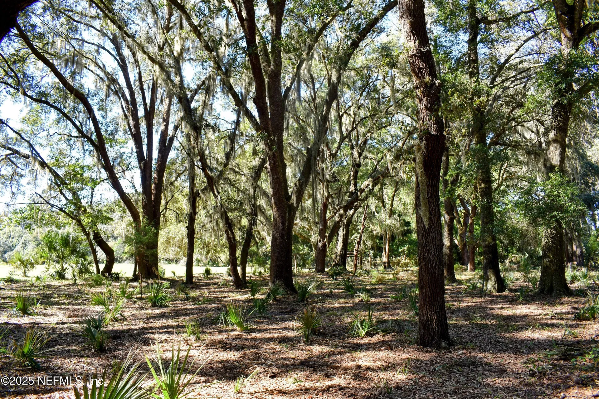 00 W Peniel Road Palatka FL 32177