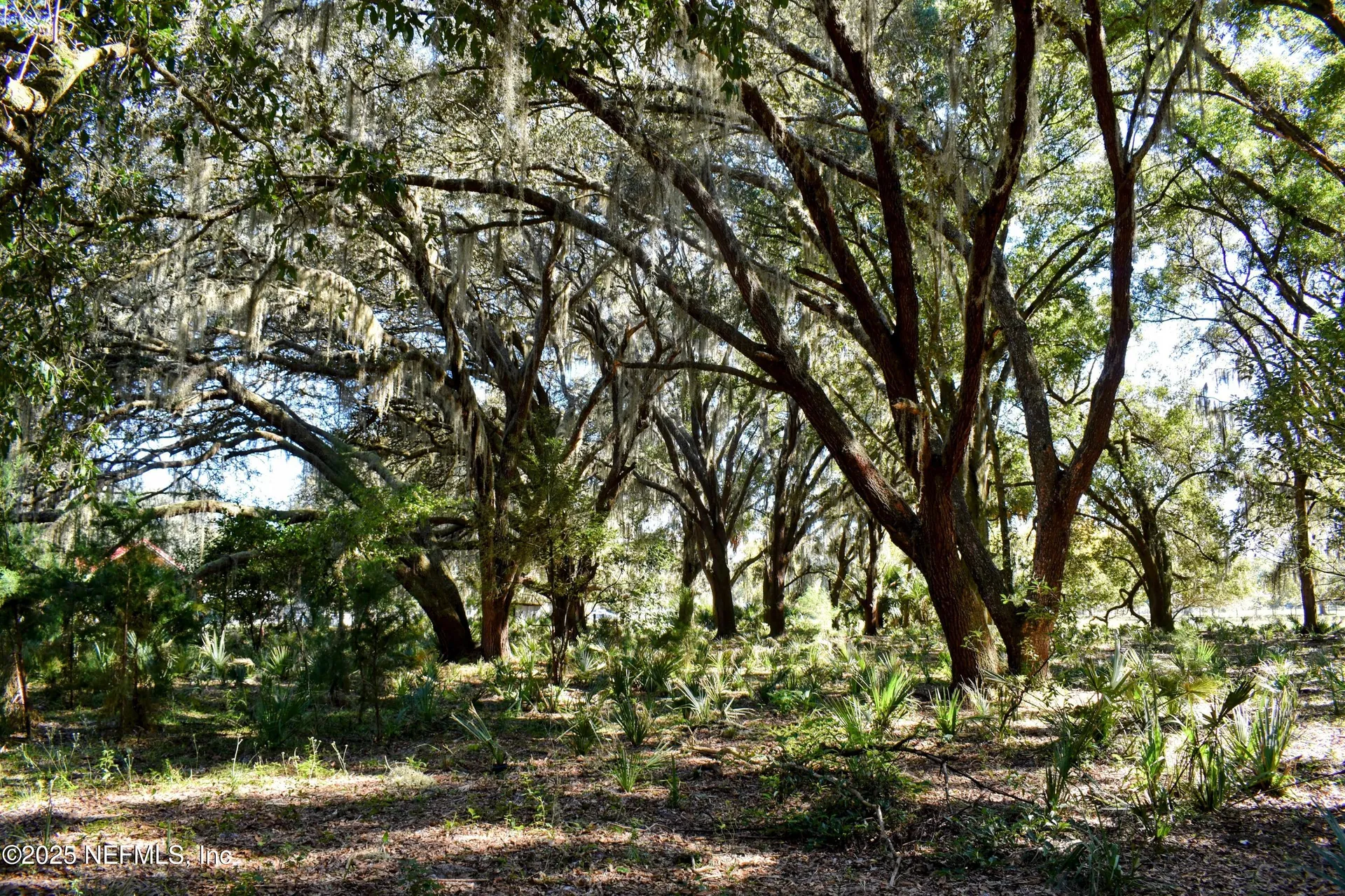 00 W Peniel Road Palatka FL 32177