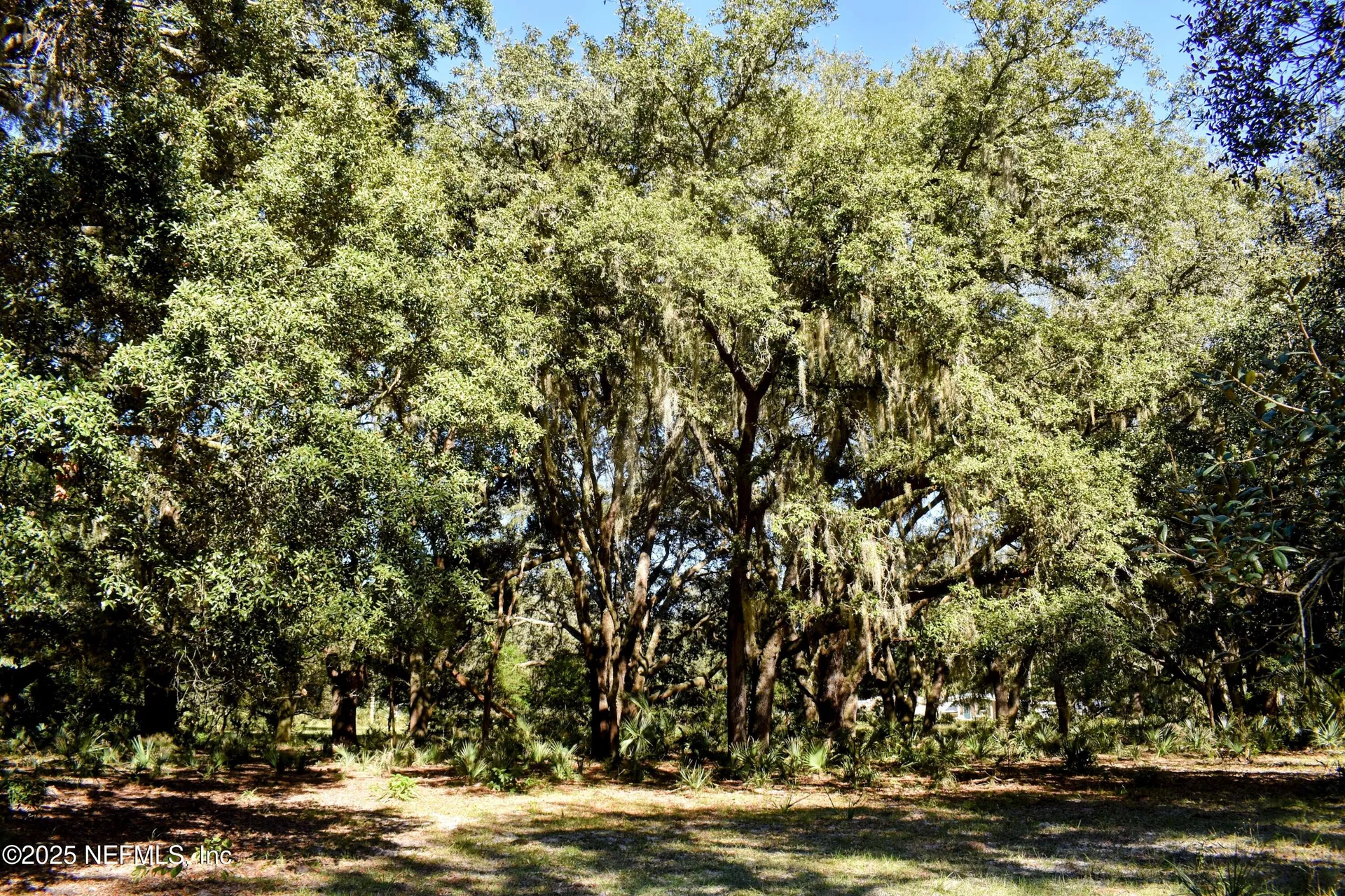 00 W Peniel Road Palatka FL 32177
