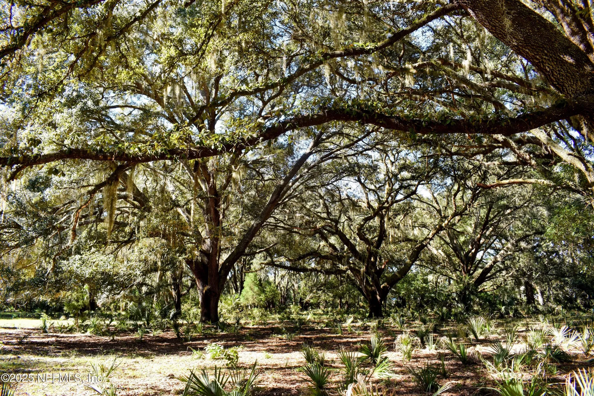 00 W Peniel Road Palatka FL 32177