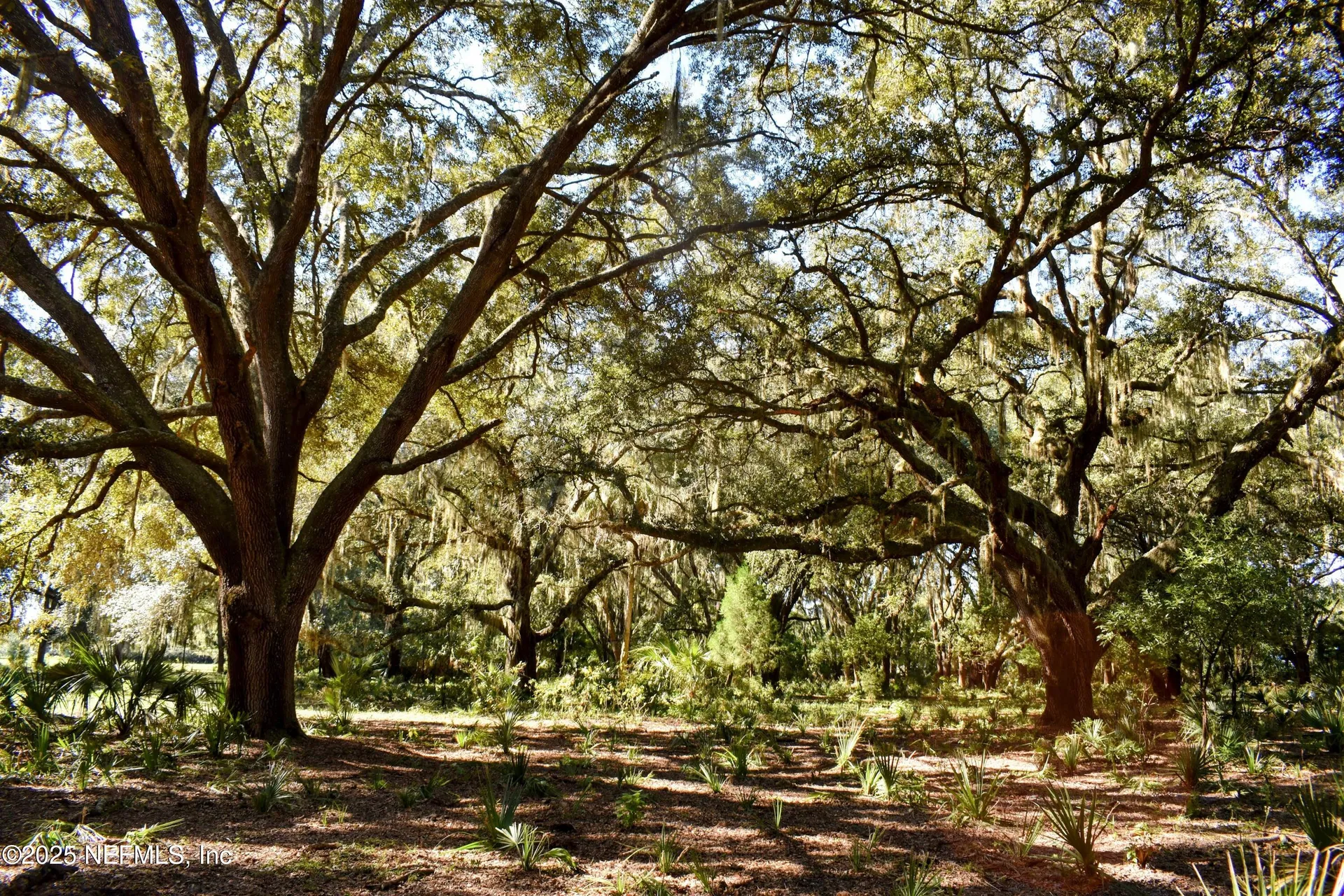 00 W Peniel Road Palatka FL 32177
