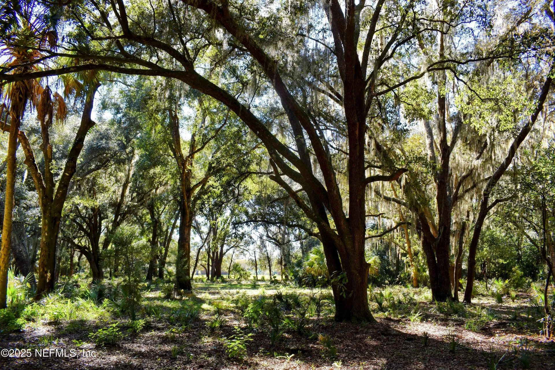 00 W Peniel Road Palatka FL 32177