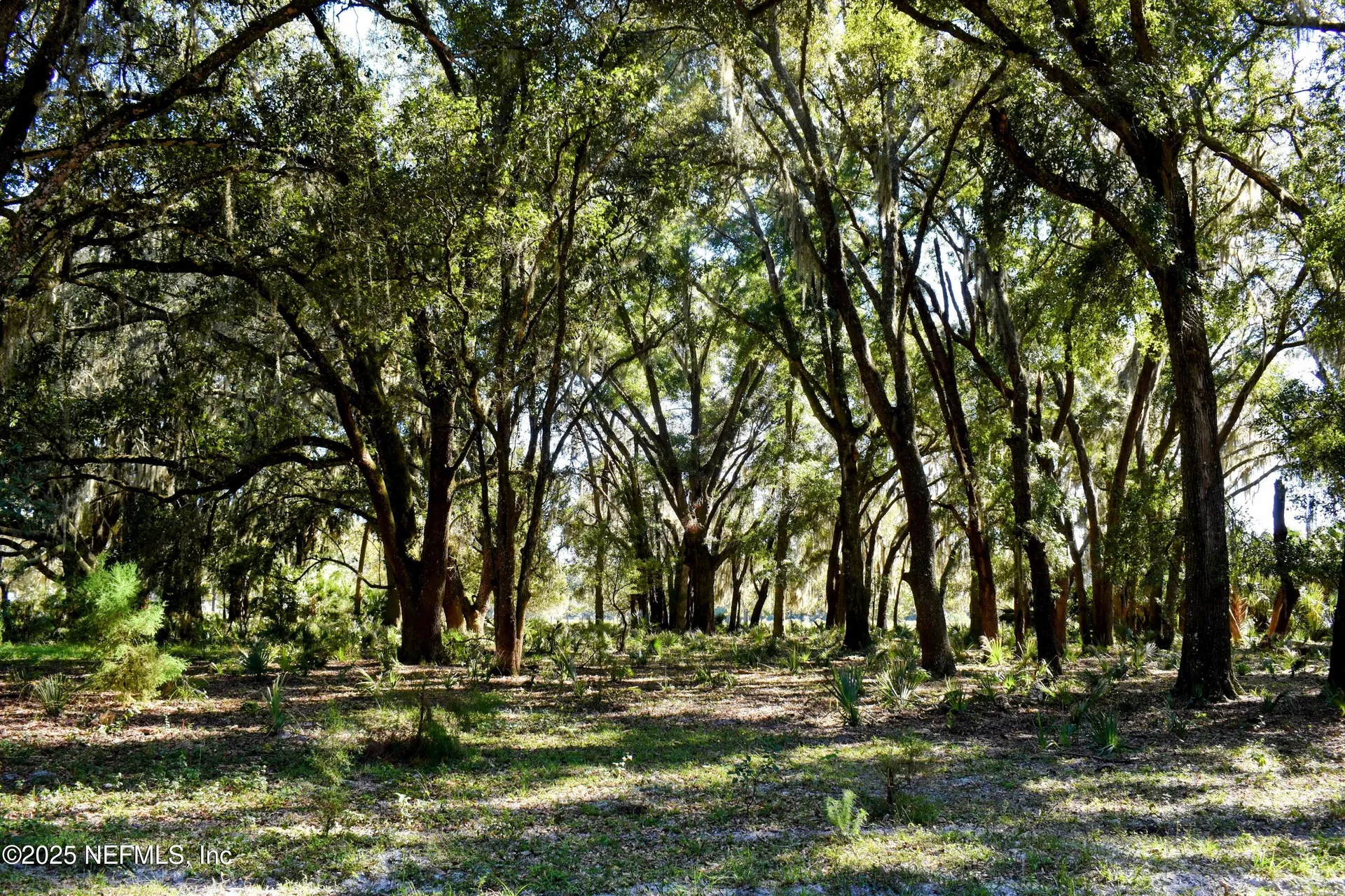 00 W Peniel Road Palatka FL 32177