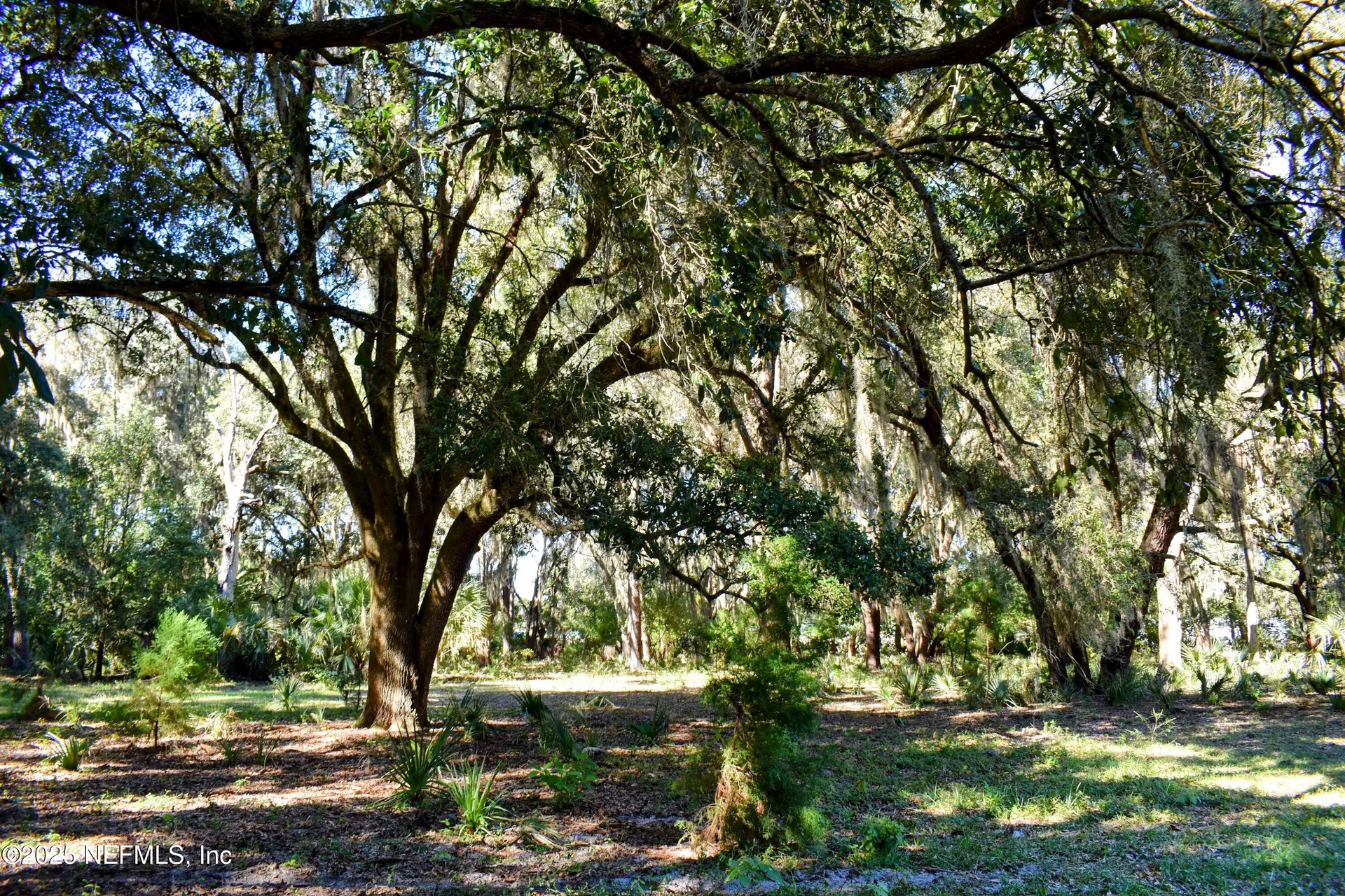 00 W Peniel Road Palatka FL 32177