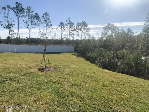 13991 Molina Drive Jacksonville FL 32256