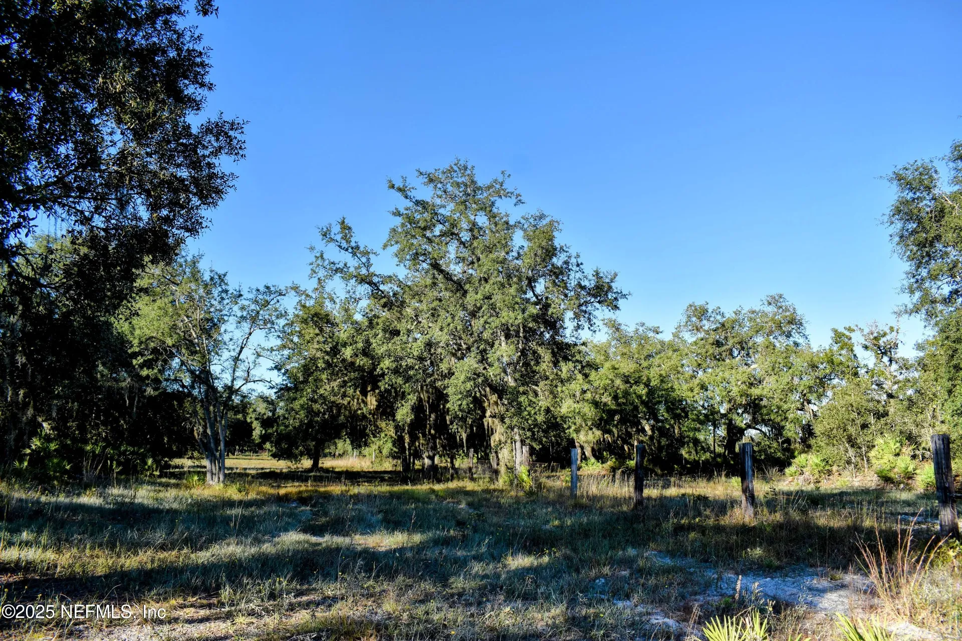 96 Bridle Drive Interlachen FL 32148