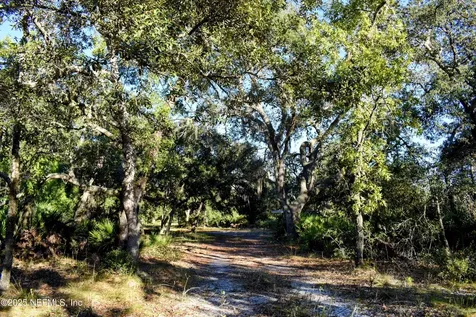 96 Bridle Drive Interlachen FL 32148