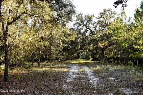 96 Bridle Drive Interlachen FL 32148