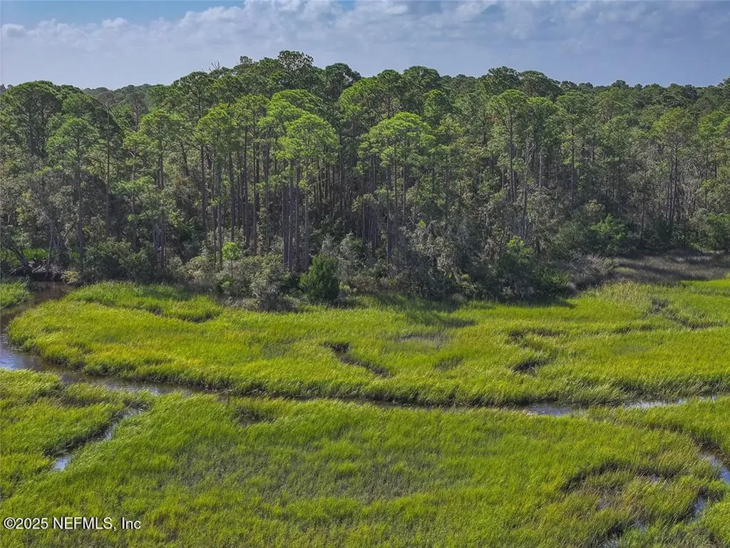 0 Mango Lane Fernandina Beach FL 32034