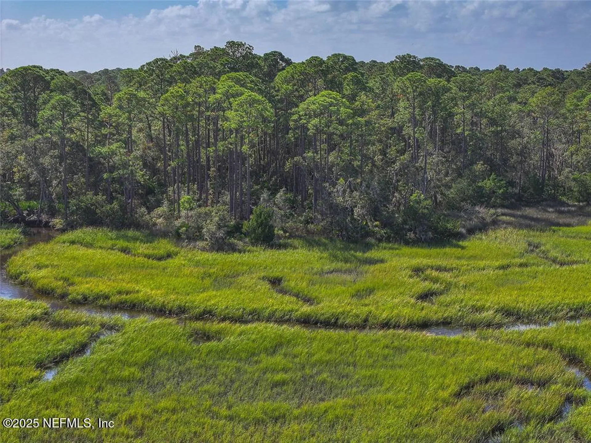 0 Mango Lane Fernandina Beach FL 32034