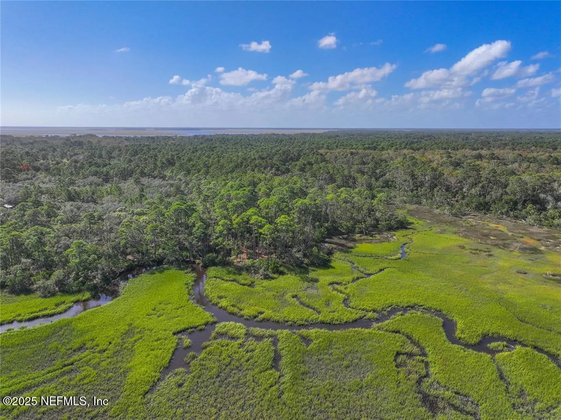 0 Mango Lane Fernandina Beach FL 32034