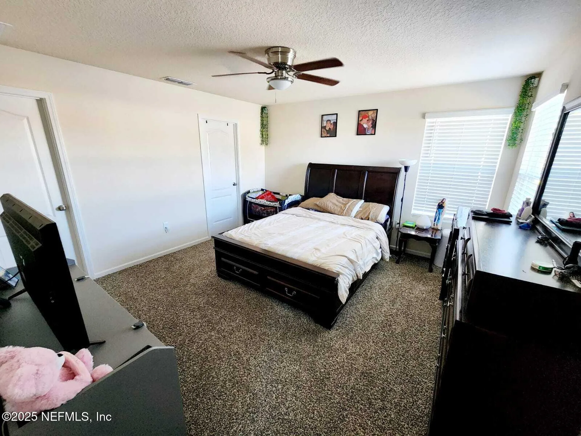 2432 Falling Star Lane Green Cove Springs FL 32043
