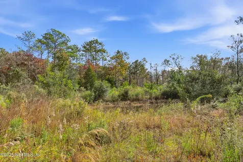 0 Landward Lane Middleburg FL 32068