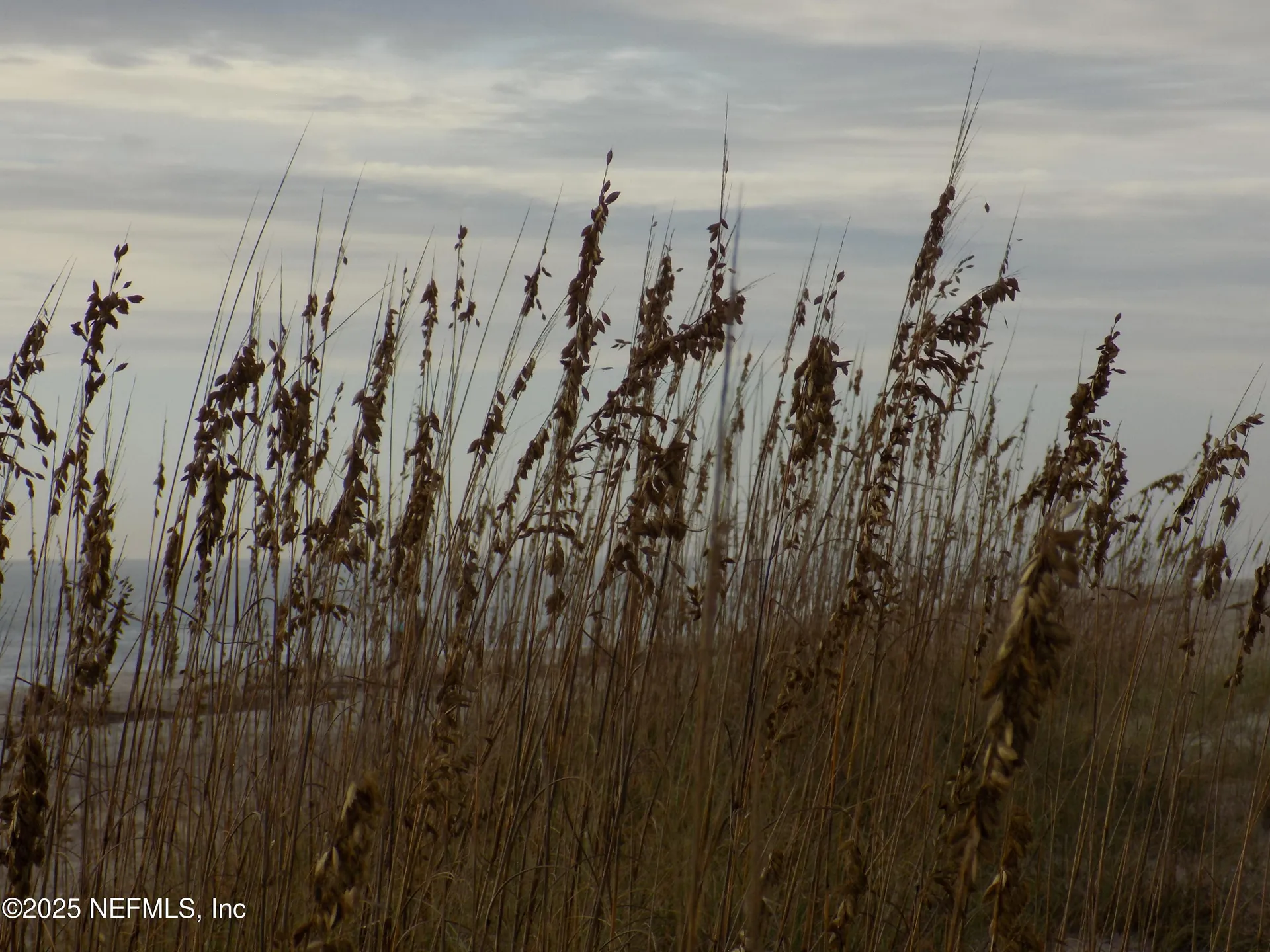 57 S Fletcher Avenue Fernandina Beach FL 32034