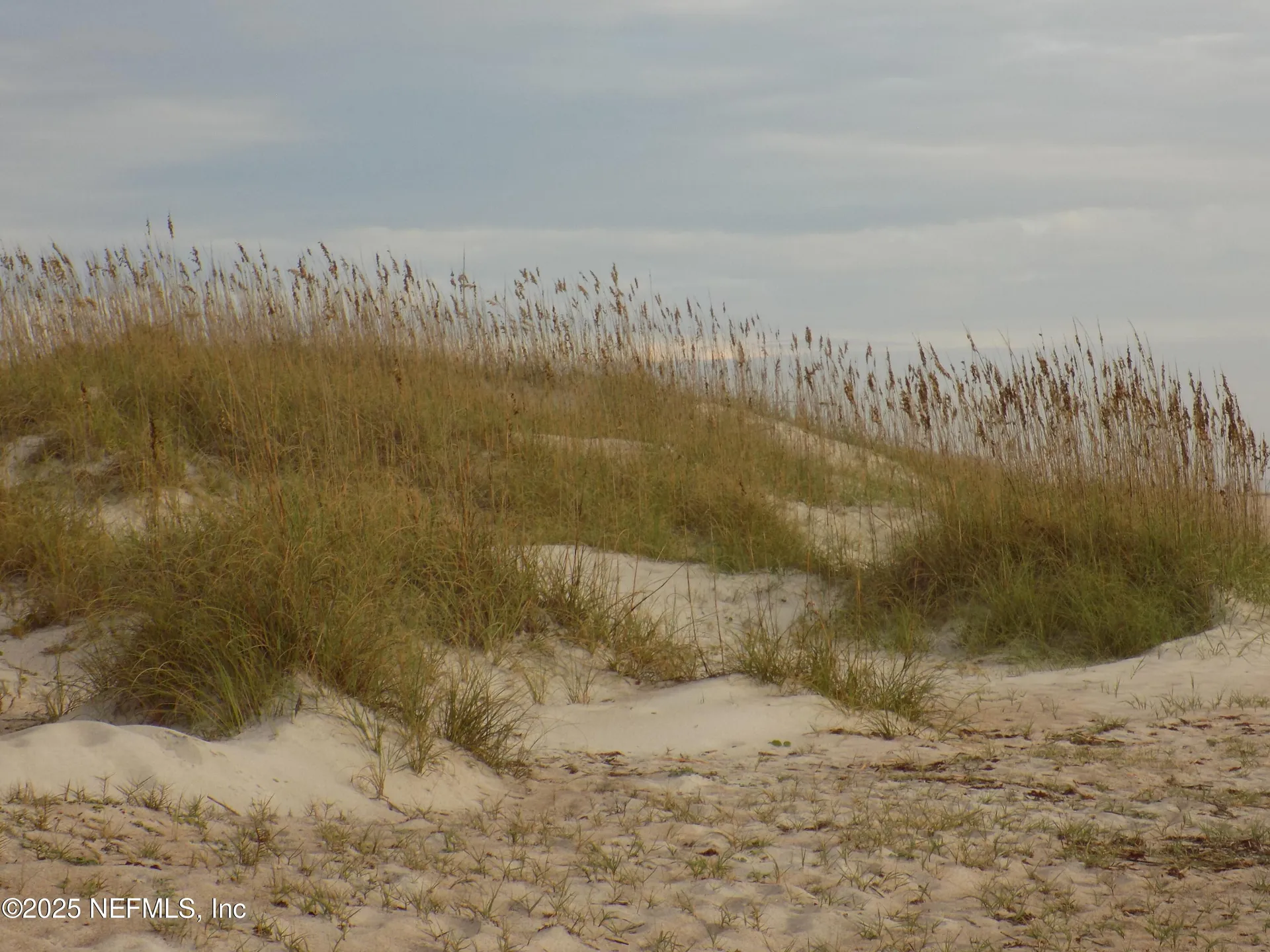 57 S Fletcher Avenue Fernandina Beach FL 32034