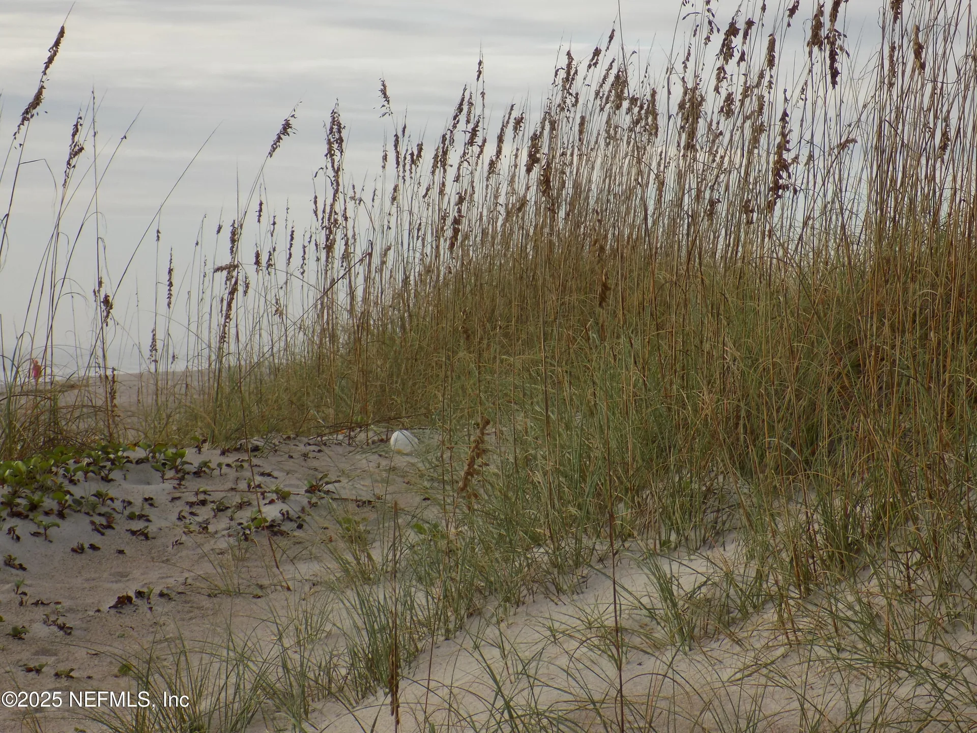 57 S Fletcher Avenue Fernandina Beach FL 32034