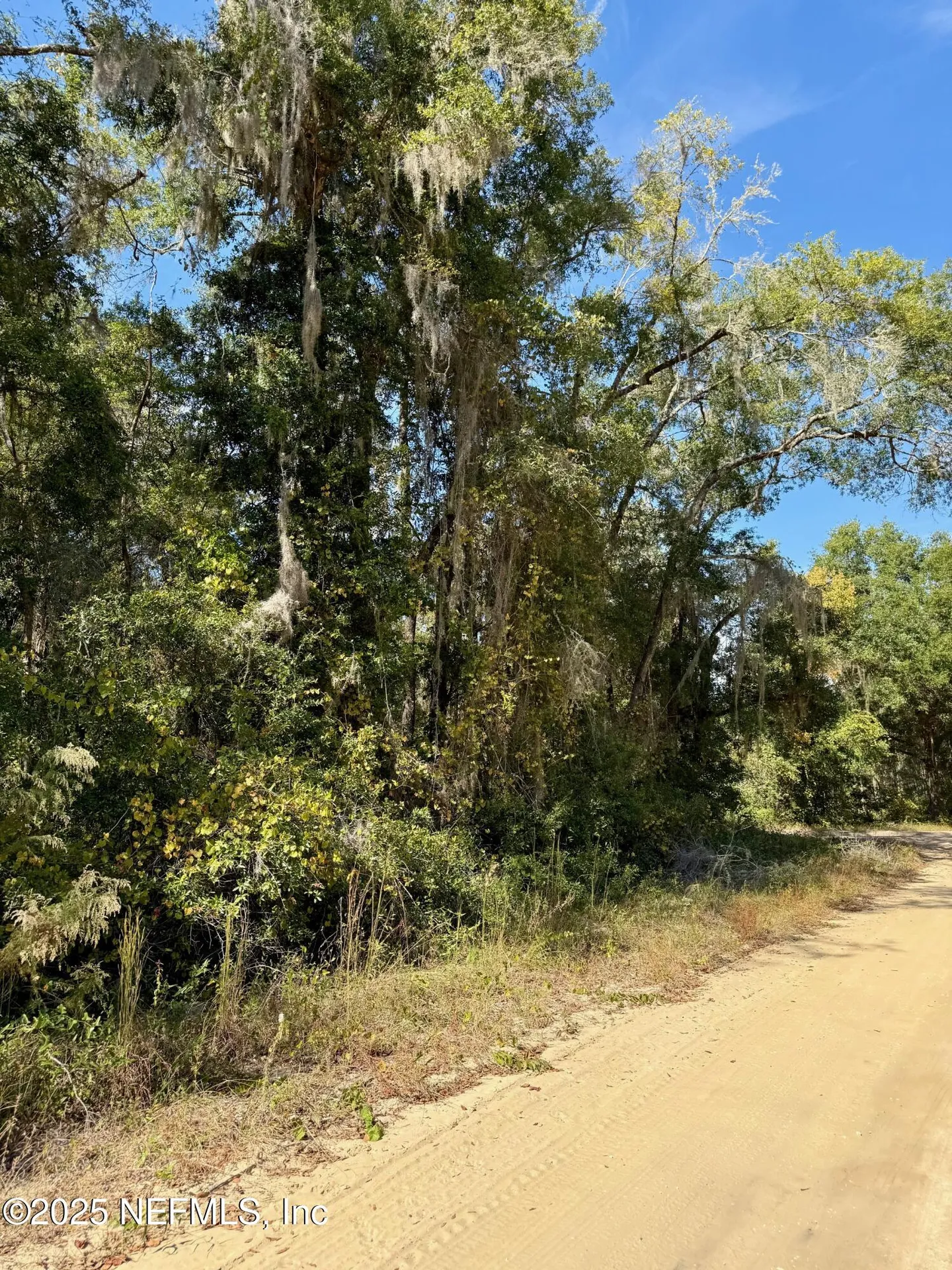 Xxx Evans Avenue Interlachen FL 32148