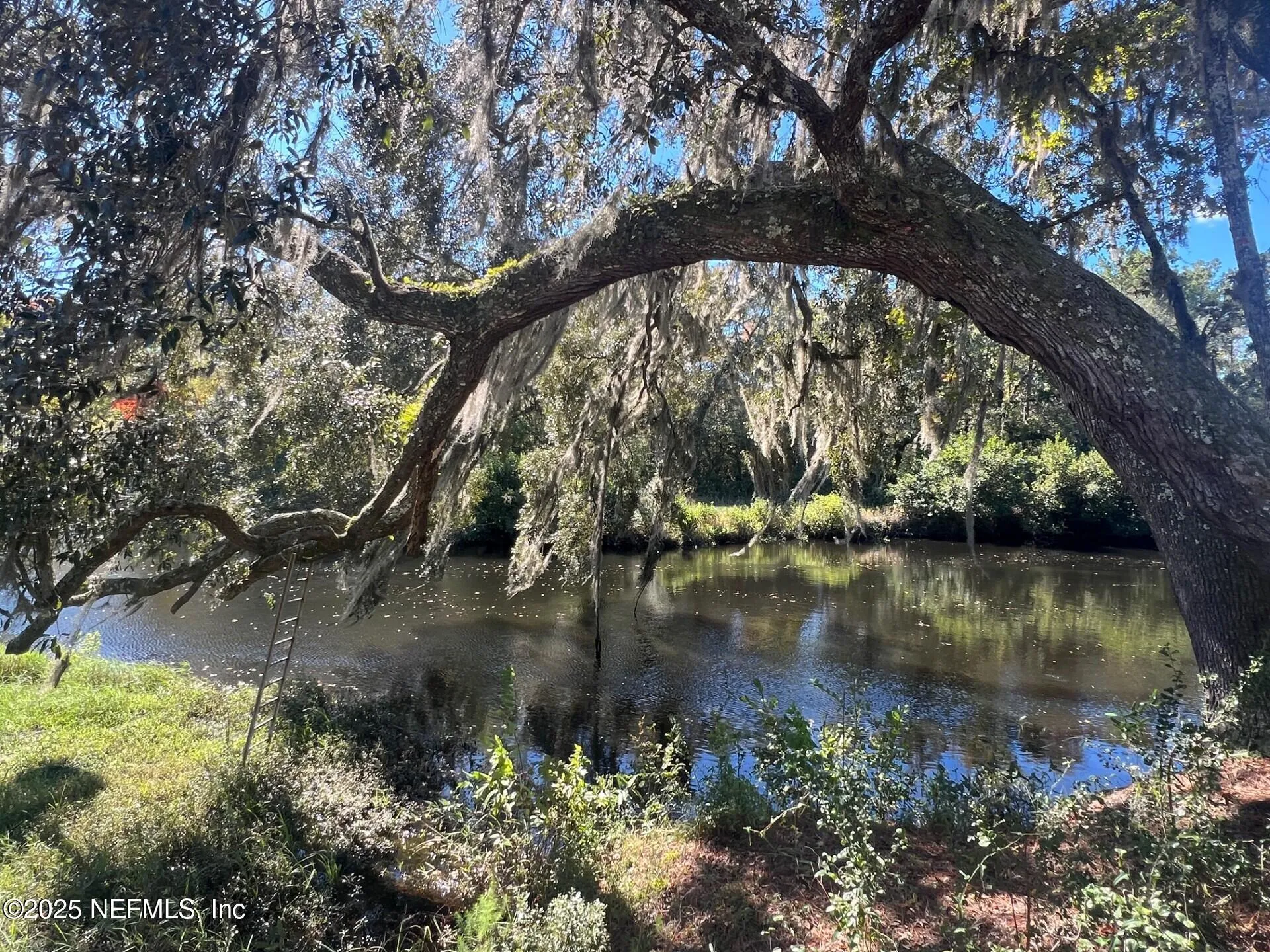 4299 Hawk Haven Road Middleburg FL 32068