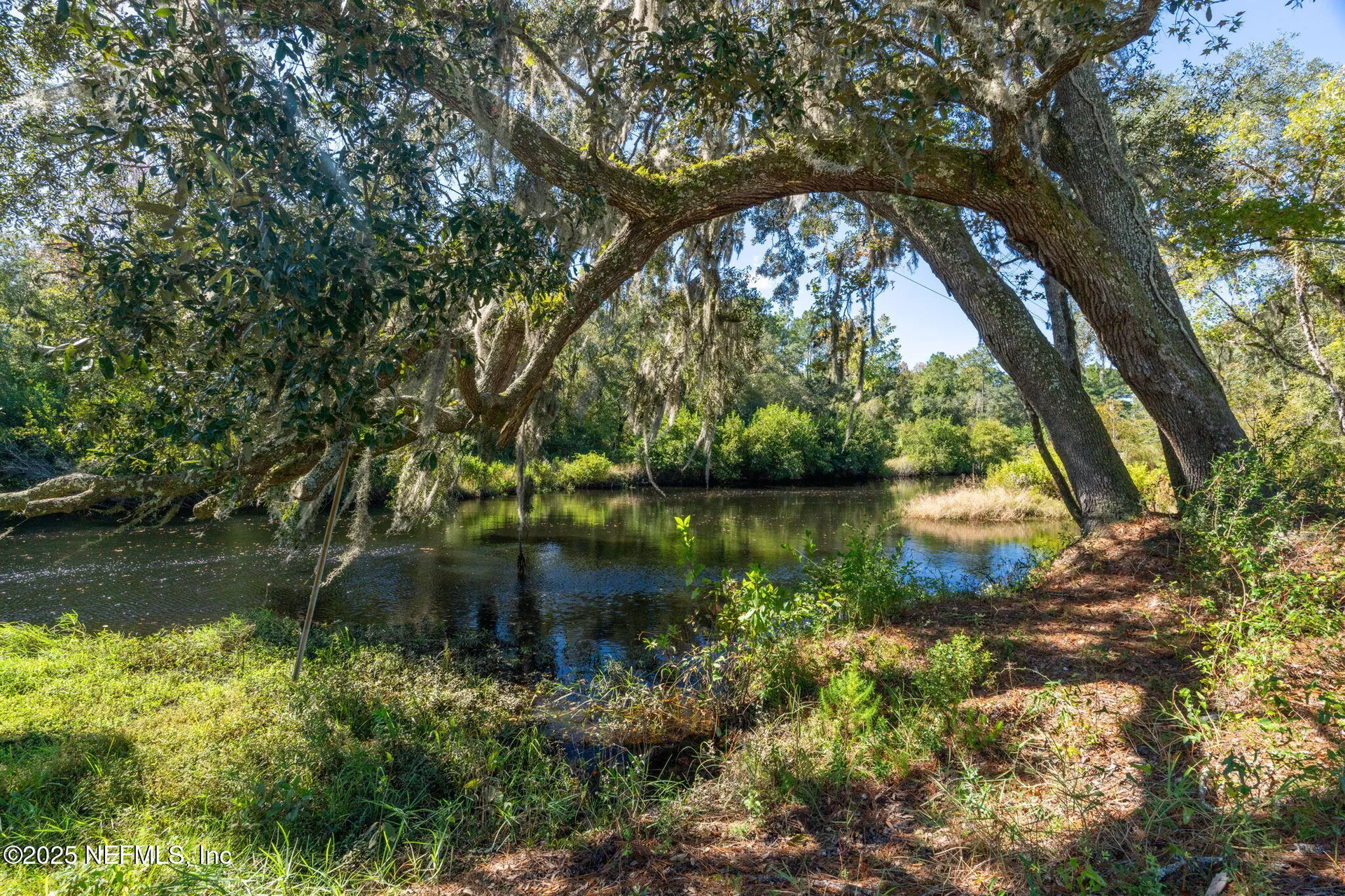 4299 Hawk Haven Road Middleburg FL 32068